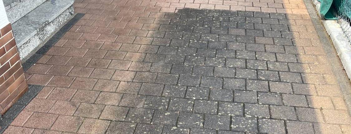 Hof, hinten gereinigt, vorne noch dunkel mit Flechten