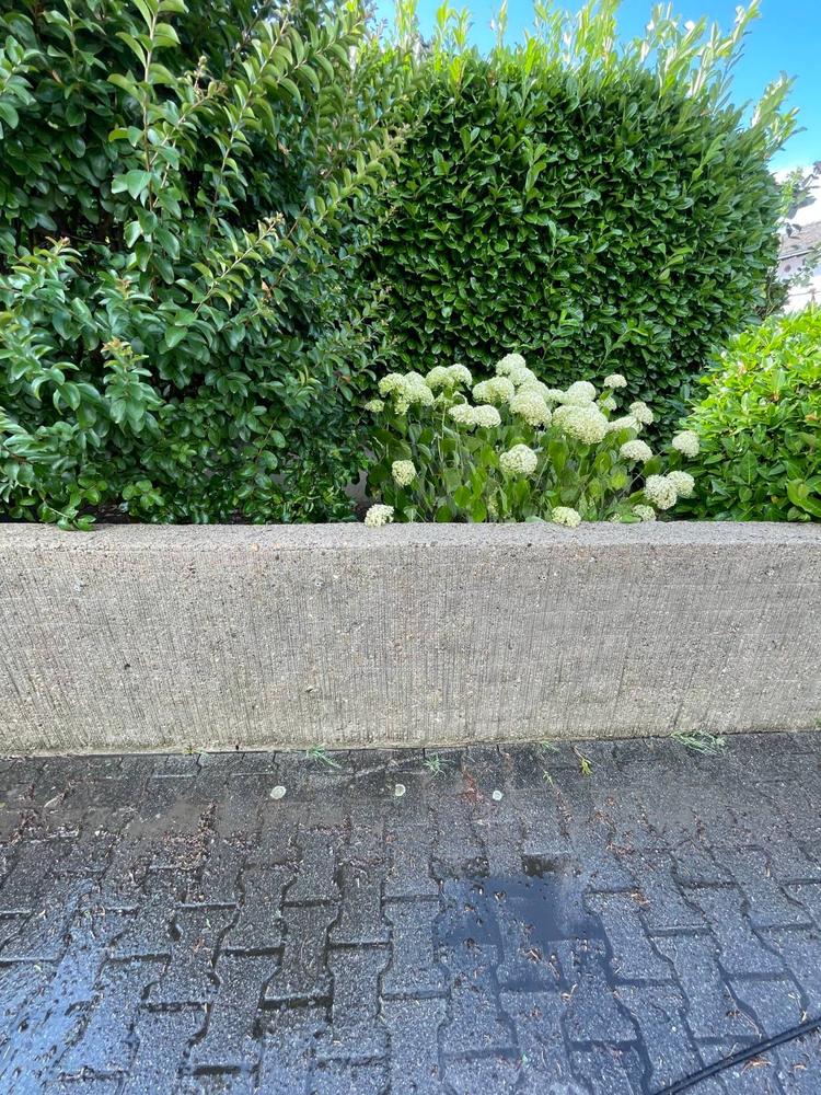 Dieselbe Betonmauer nach der Reinigung, gleichmäßig hell